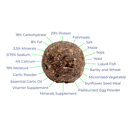 Medicated Boilies ingredients breakdown showcasing protein, minerals, and beneficial supplements for carp health.